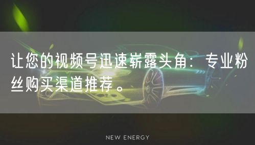 让您的视频号迅速崭露头角:专业粉丝购买渠道推荐。