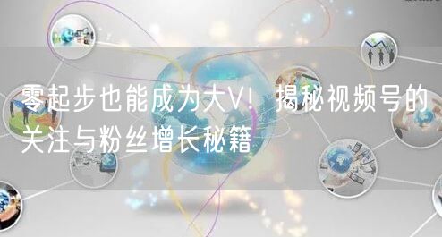 零起步也能成为大V！揭秘视频号的关注与粉丝增长秘籍