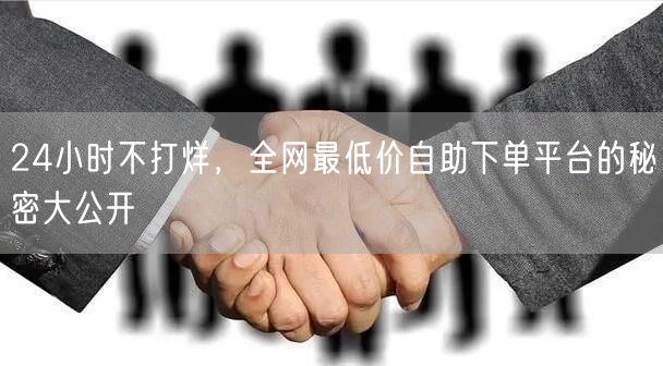 24小时不打烊,全网最低价自助下单平台的秘密大公开