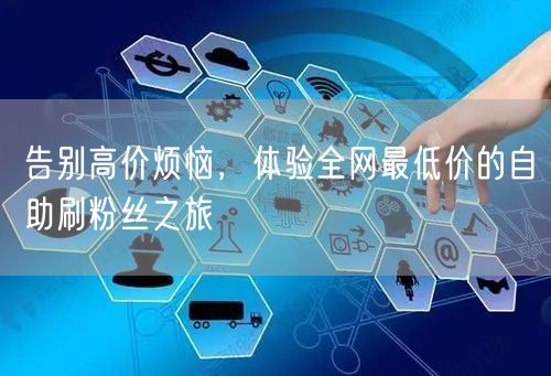 告别高价烦恼,体验全网最低价的自助刷粉丝之旅