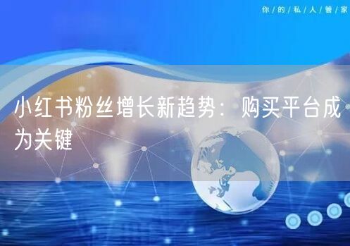 小红书粉丝增长新趋势：购买平台成为关键