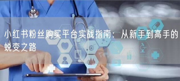 小红书粉丝购买平台实战指南：从新手到高手的蜕变之路