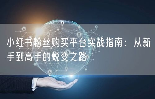 小红书粉丝购买平台实战指南：从新手到高手的蜕变之路