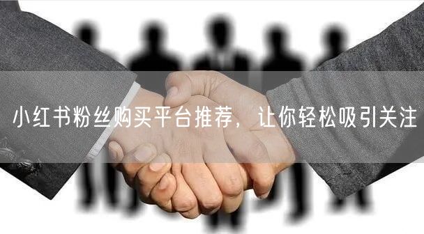 小红书粉丝购买平台推荐，让你轻松吸引关注
