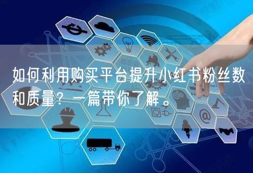 如何利用购买平台提升小红书粉丝数和质量？一篇带你了解。