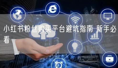 小红书粉丝购买平台避坑指南 新手必看