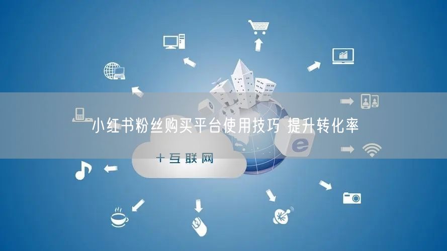 小红书粉丝购买平台使用技巧 提升转化率