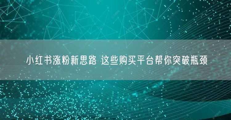 小红书涨粉新思路 这些购买平台帮你突破瓶颈