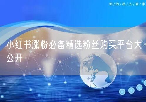 小红书涨粉必备精选粉丝购买平台大公开