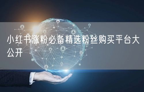 小红书涨粉必备精选粉丝购买平台大公开