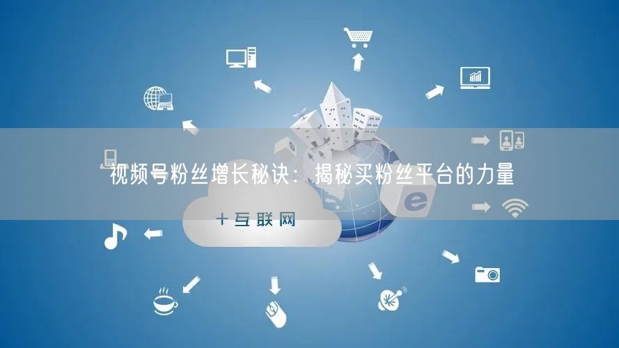 视频号粉丝增长秘诀:揭秘买粉丝平台的力量