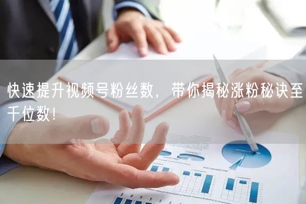 快速提升视频号粉丝数,带你揭秘涨粉秘诀至千位数!